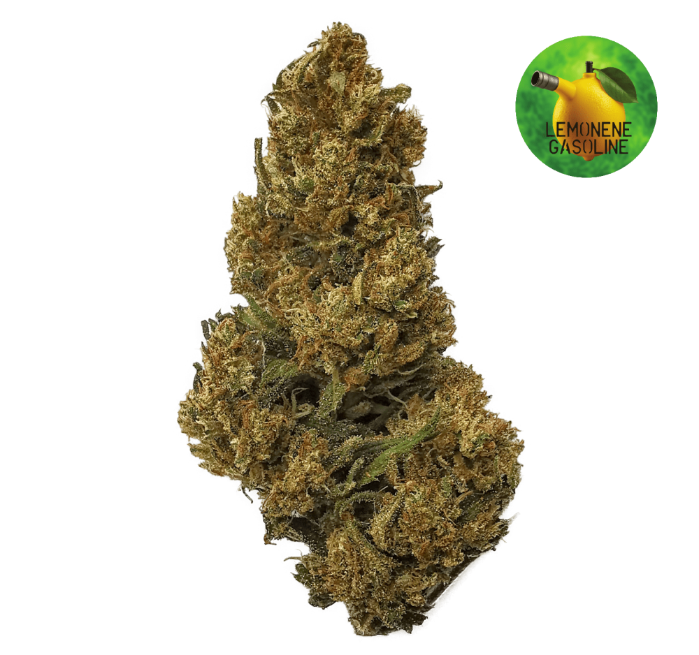 Lemonene Gasoline CBD (30g)