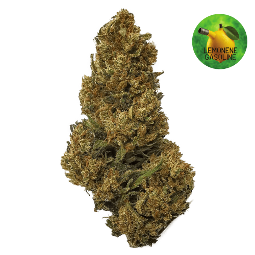 Lemonene Gasoline CBD (30g)