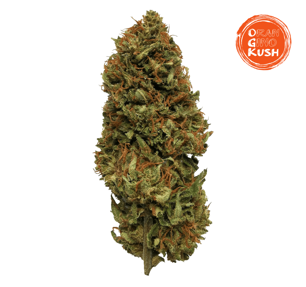 Oran Gino Kush CBD (30g)