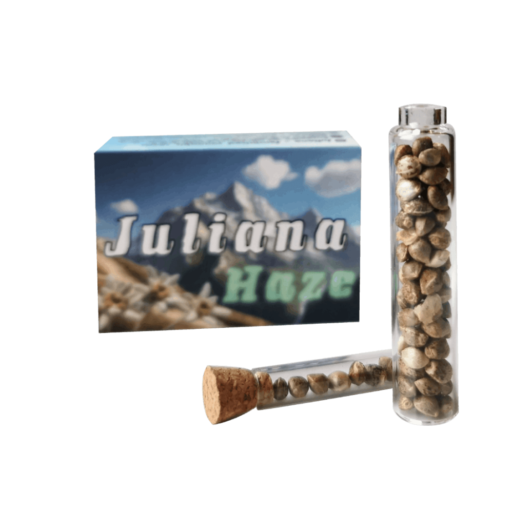 Juliana Haze Autoflower Cannabis Seeds (Type1)