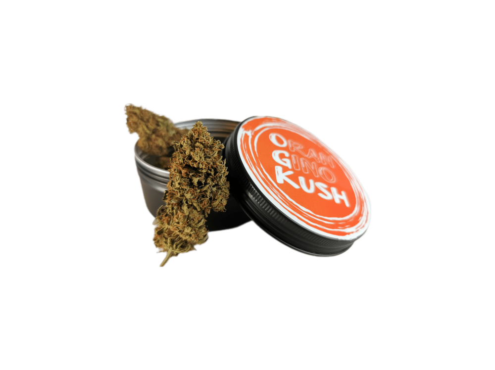 Oran Gino Kush CBD (30g)
