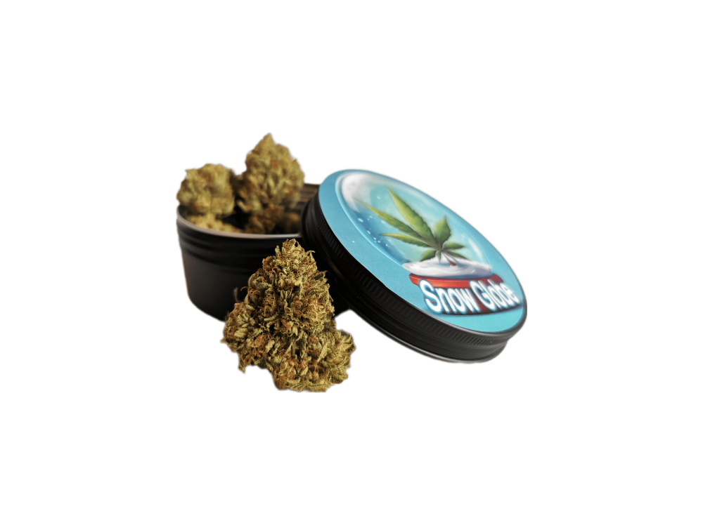 Snow Globe CBG (30g)