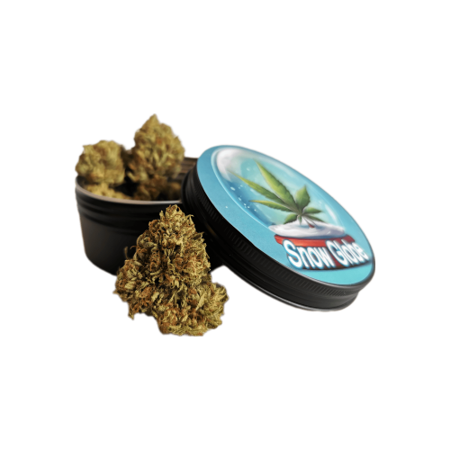 Snow Globe CBG (30g)