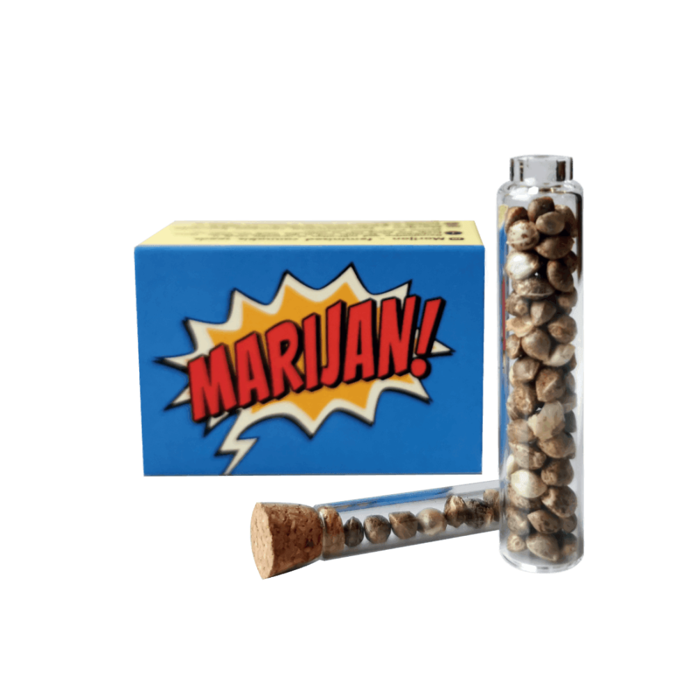Marijan Autoflower Cannabis Seeds (Type1)